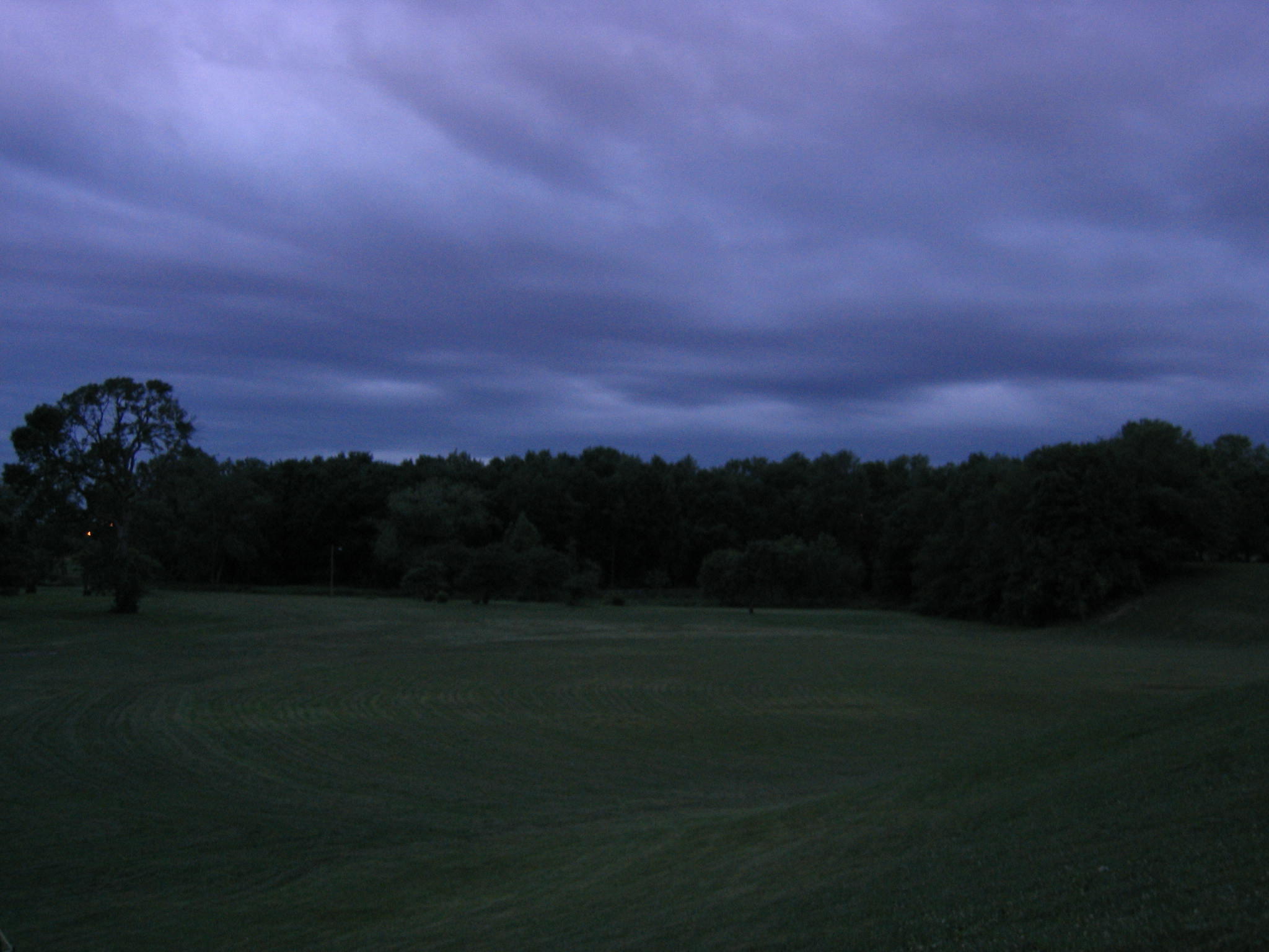 Circular Grass