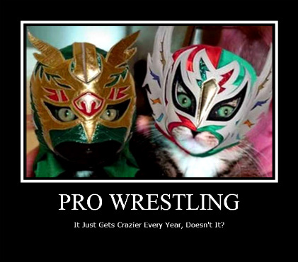 Professional Wrestling