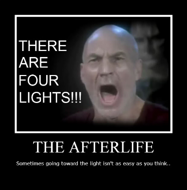 Picard Afterlife