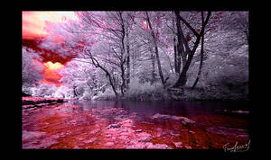 bloody river