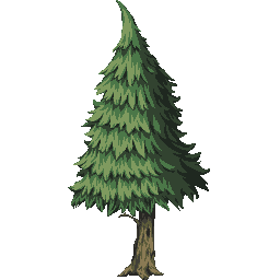 Fir-tree