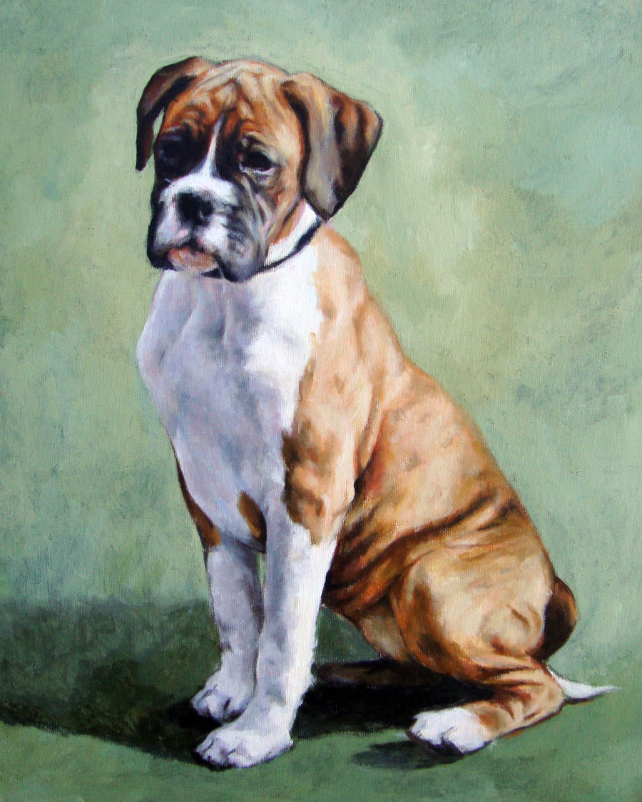 Deviantart Boxer Dog Boxer by VividPortraits on DeviantArt