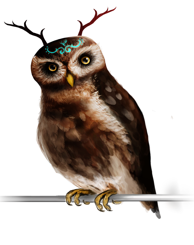 Owl Concept