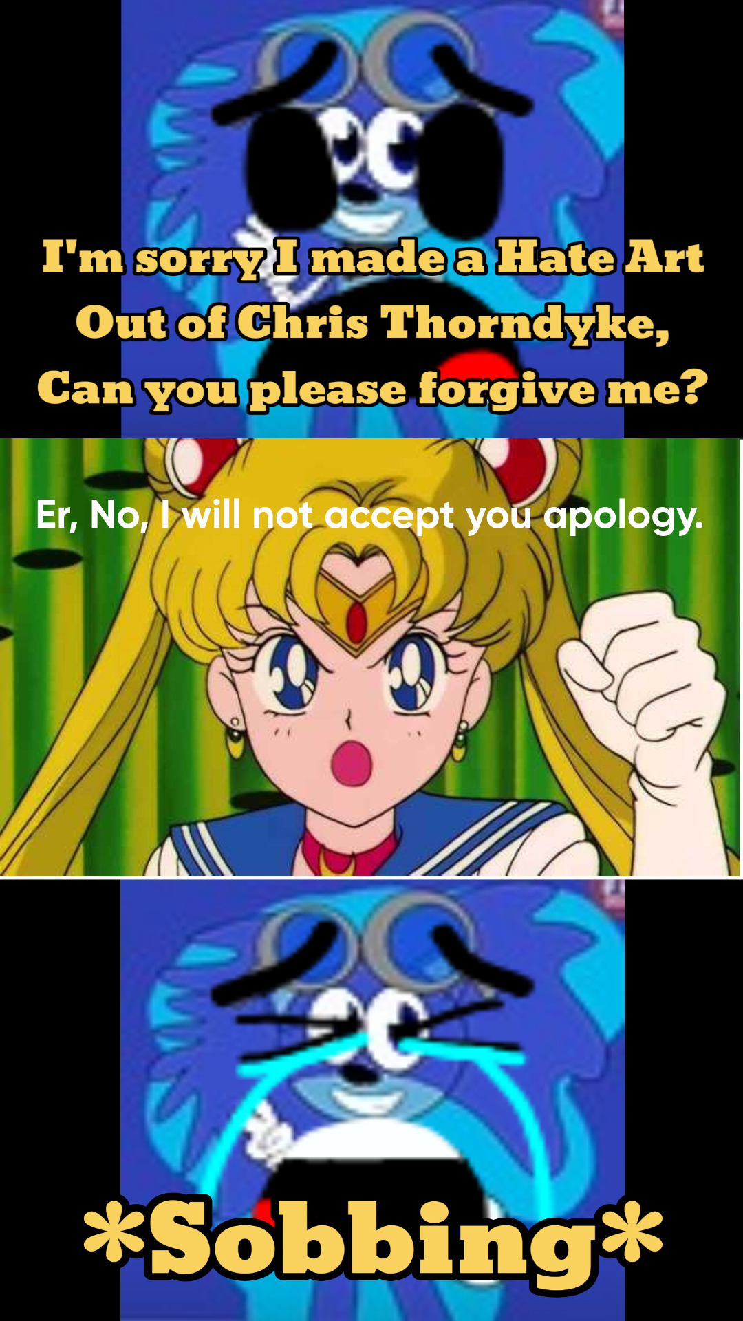 Sailor Moon Denies BlonicForever2022''s Apology by zmcdonald09 on ...