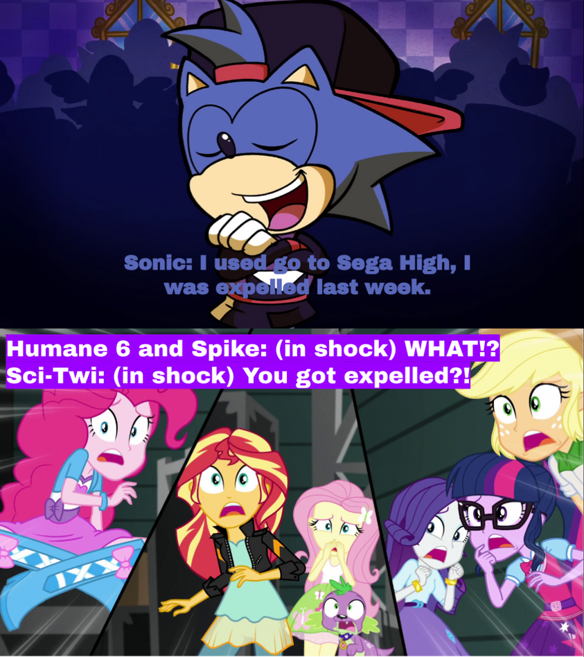 The Humane 6 Reacts to Sonic got expelled by zmcdonald09 on DeviantArt