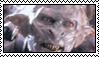 Snaga Stamp