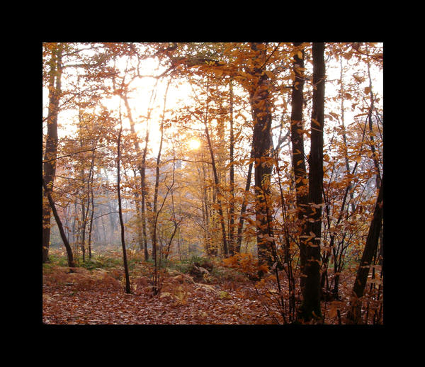 Sweet autumn Part I by Lobotomized on DeviantArt
