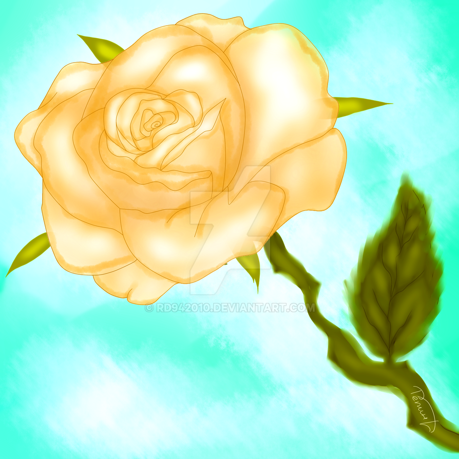 Cream Roses Vector cream roses by rd942010 on DeviantArt