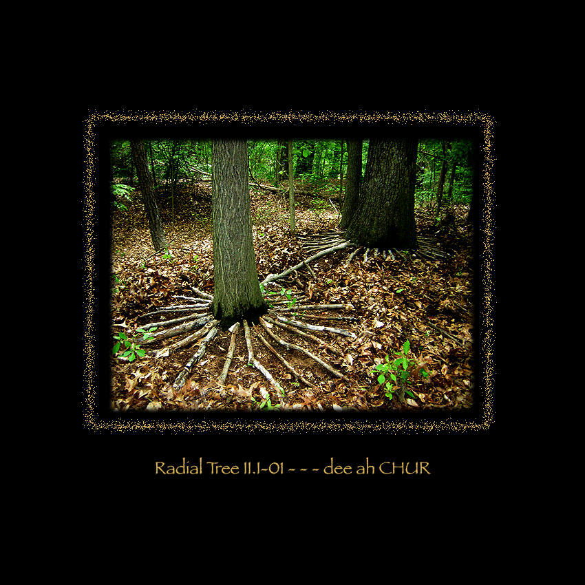 Radial Tree II-I 01 by deeahCHUR on DeviantArt