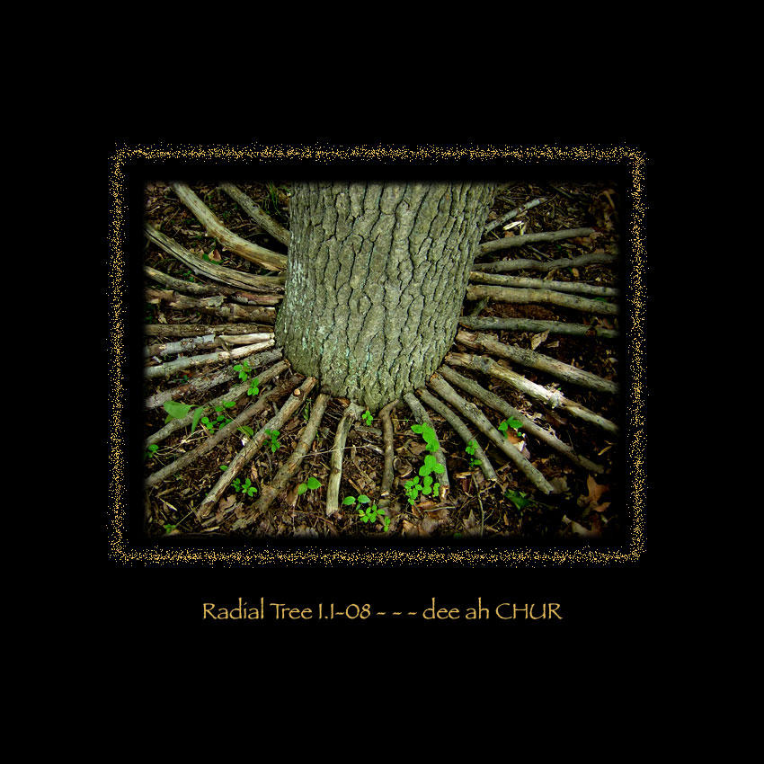 Radial Tree I-I 08 by deeahCHUR on DeviantArt