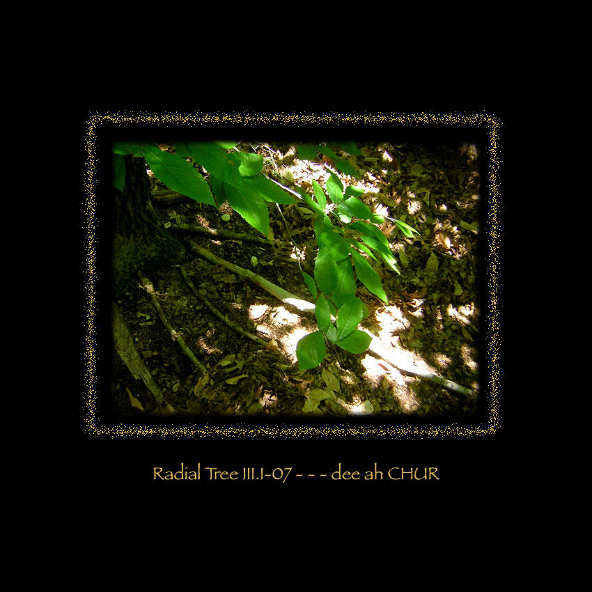 Radial Tree III-I 07 by deeahCHUR on DeviantArt