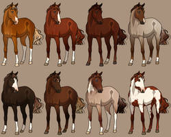 CLOSED!: Chestnut VS Sorrel Design Batch