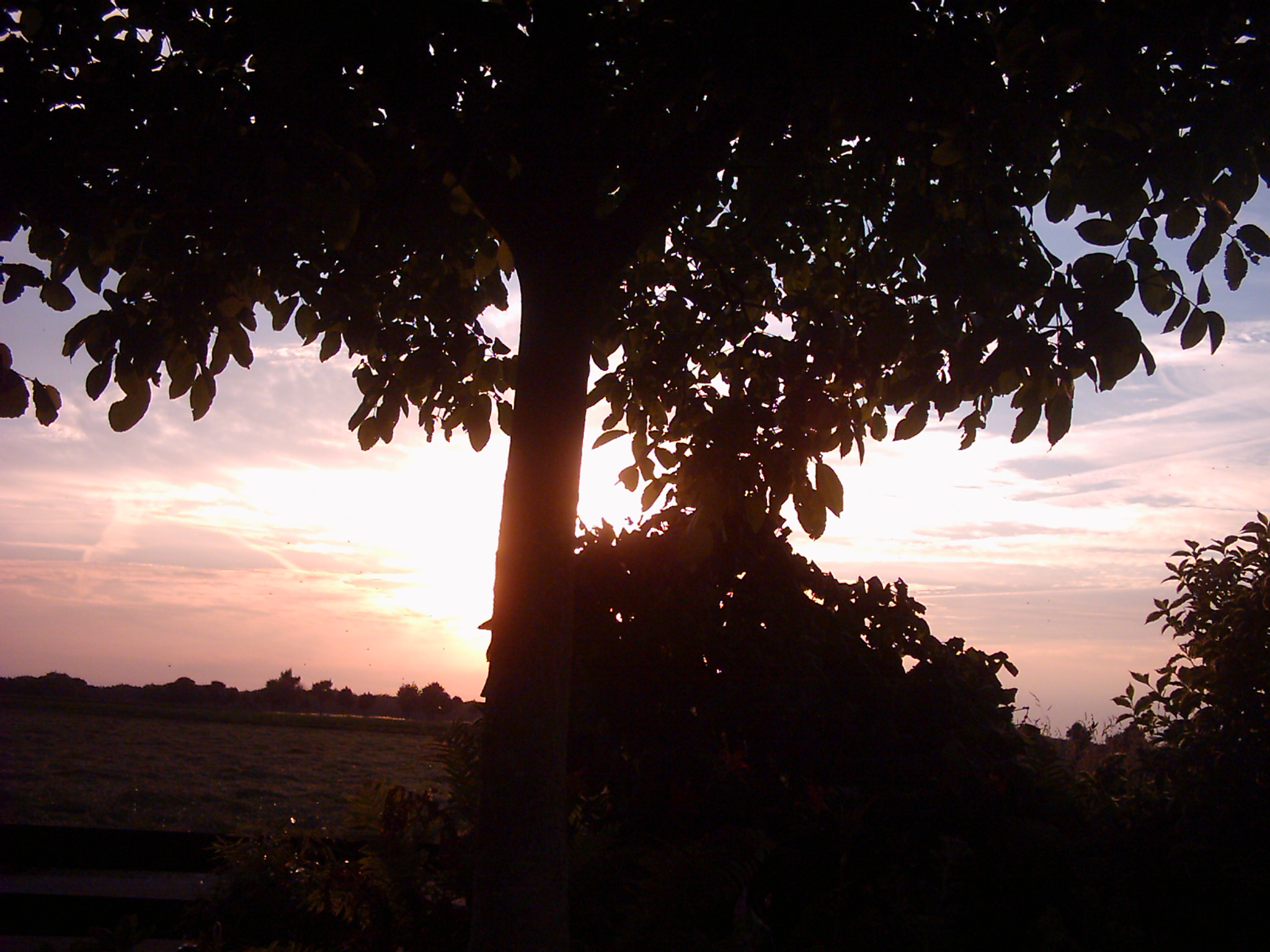 Sunset in blue and purple