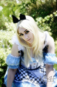 Alice In Wonderland 4