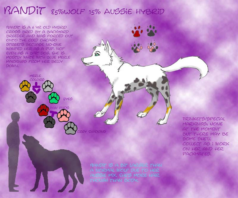 Bandit Ref 1.0 by Kateskywalker on DeviantArt