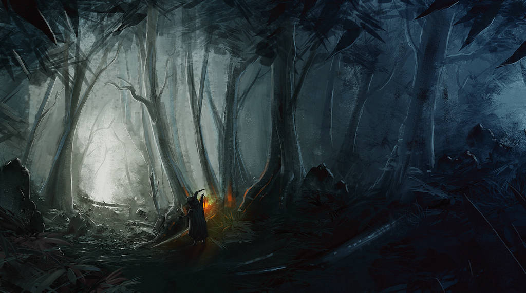 Dark Forest by jontorresart