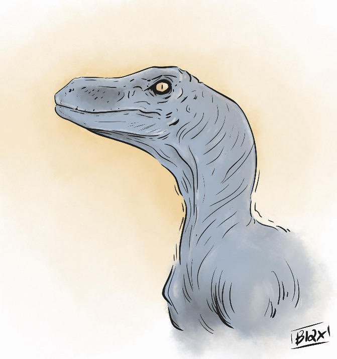 Raptor sketch by Biaxart on DeviantArt