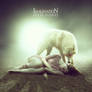 twilight
