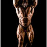 Mr Canada 2010 IFBB Pro