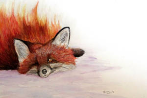 Fire Fox