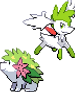 Shaymin Sprite