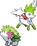 Shaymin Sprite