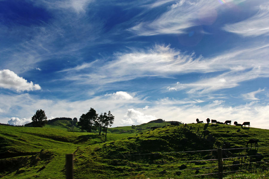 New Zealand Highway by sayra New Zealand Highway by sayra