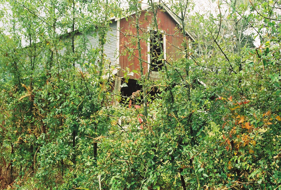 the lonely barn