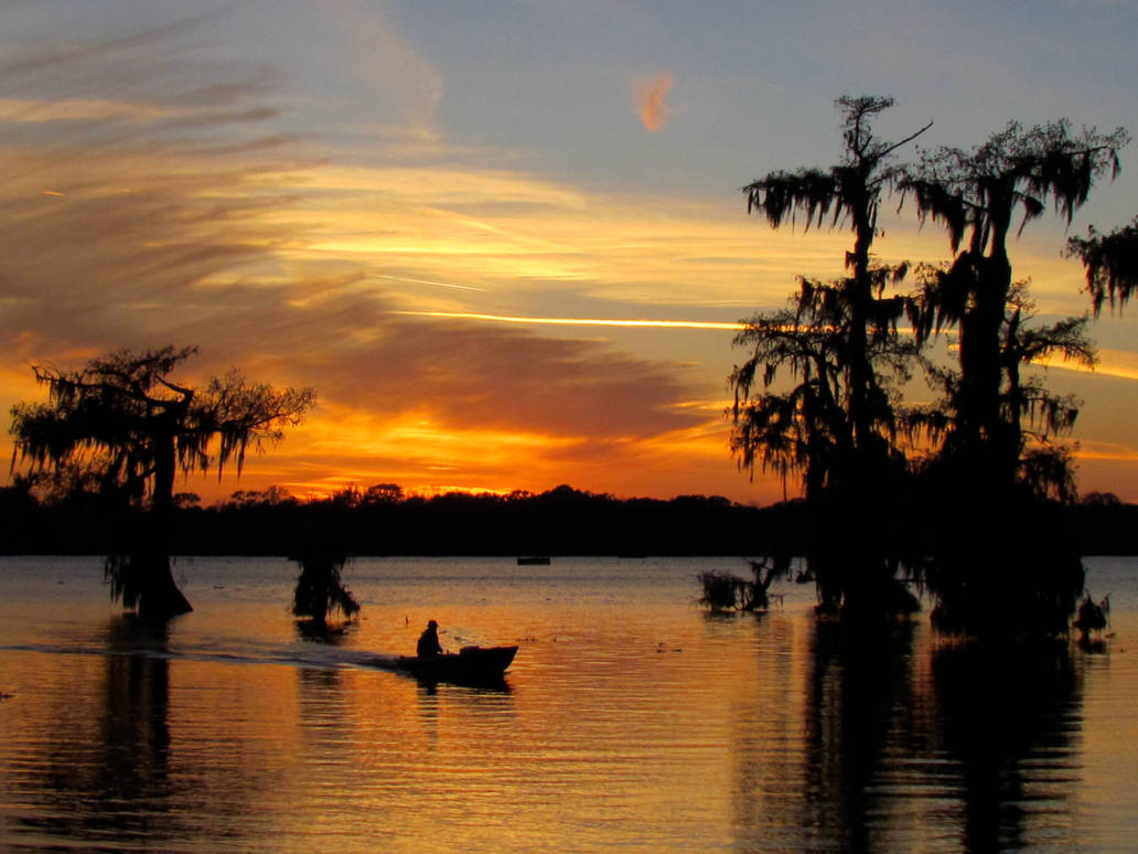 bayou sunset