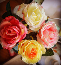 Colorful Roses