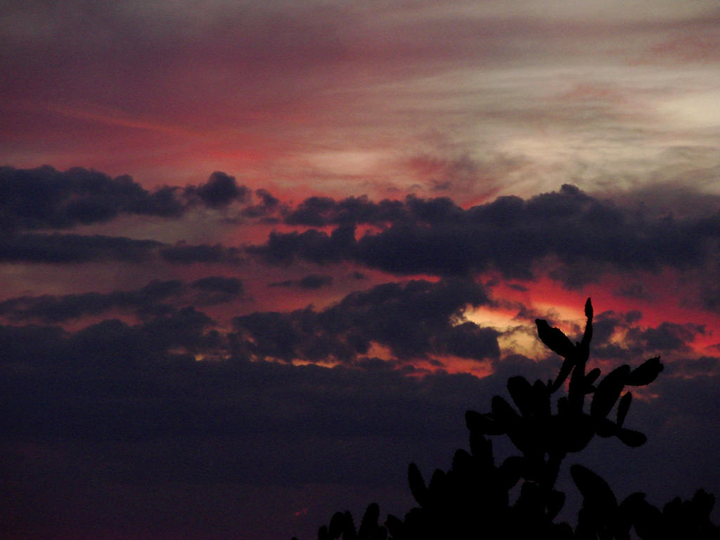 Elle habite ici by on DeviantArt