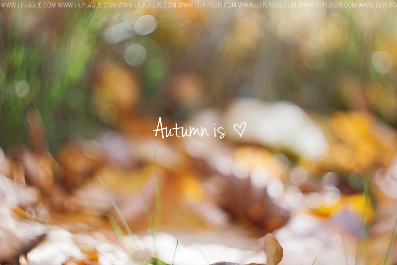 Autumn is love