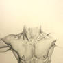 Male torso 2