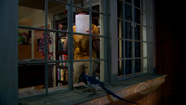 Sheldon Bird Sheldon and blue bird by FAN-SNE on DeviantArt