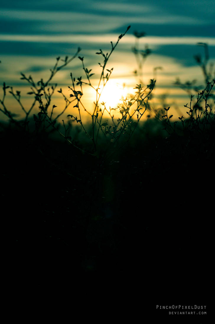 Desert Sunset by PinchOfPixelDust