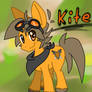 Kite Shield - My Little Brony