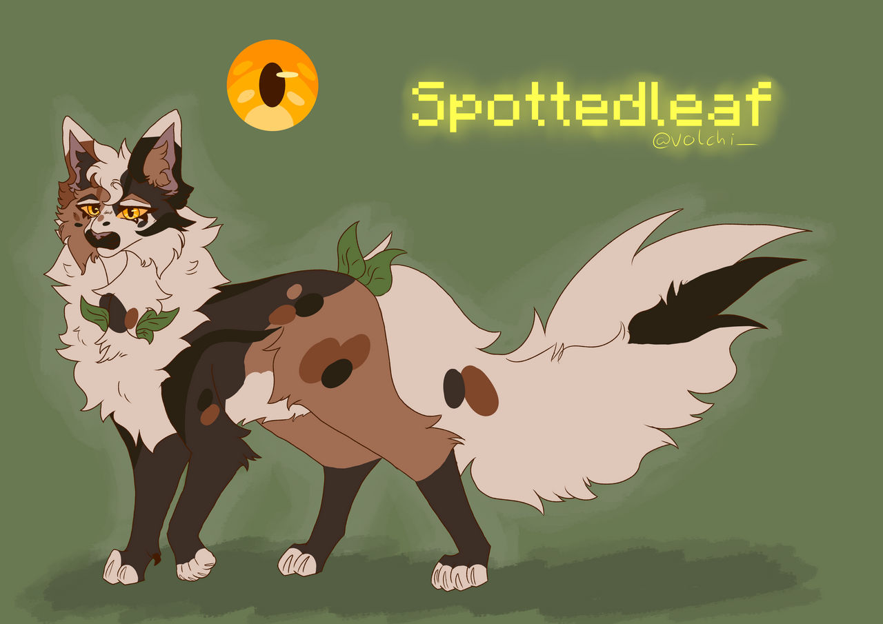 Spottedleaf Paws Spottedleaf by VolchiXX on DeviantArt