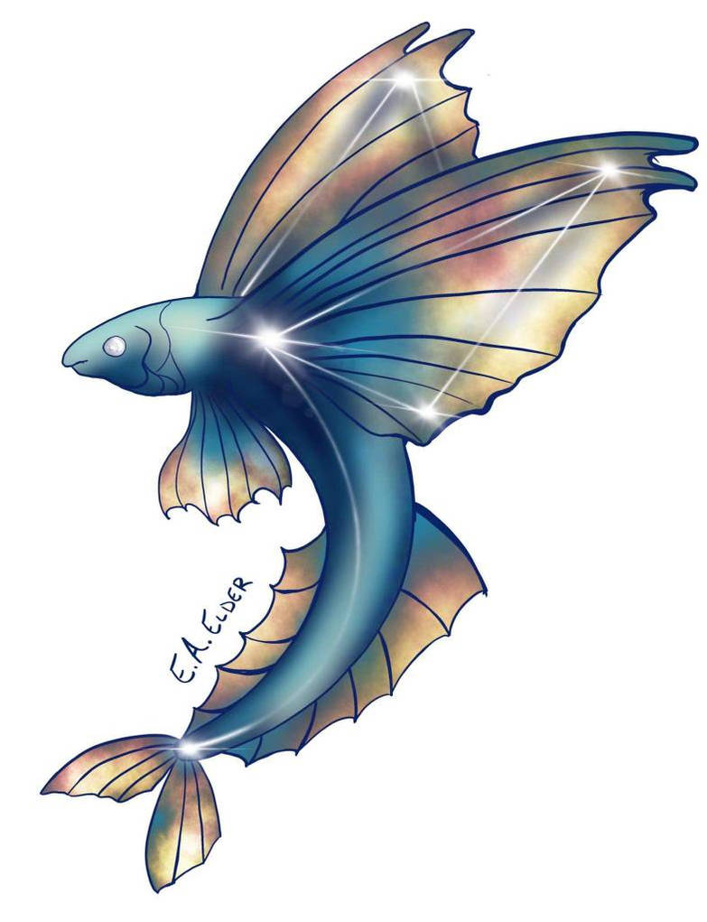 Volans- Flying Fish by SpitePeacock on DeviantArt