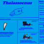 Thalassocnus Stats