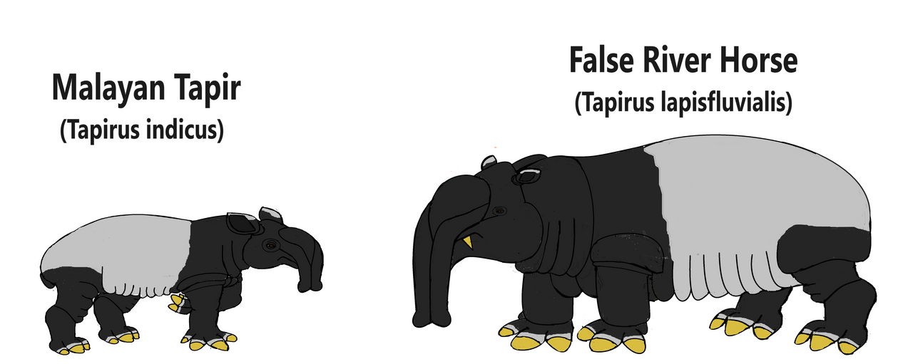 Speculative Tapir Evolution By DSU42 On DeviantArt speculative-tapir-evolution-by-dsu42-on-deviantart