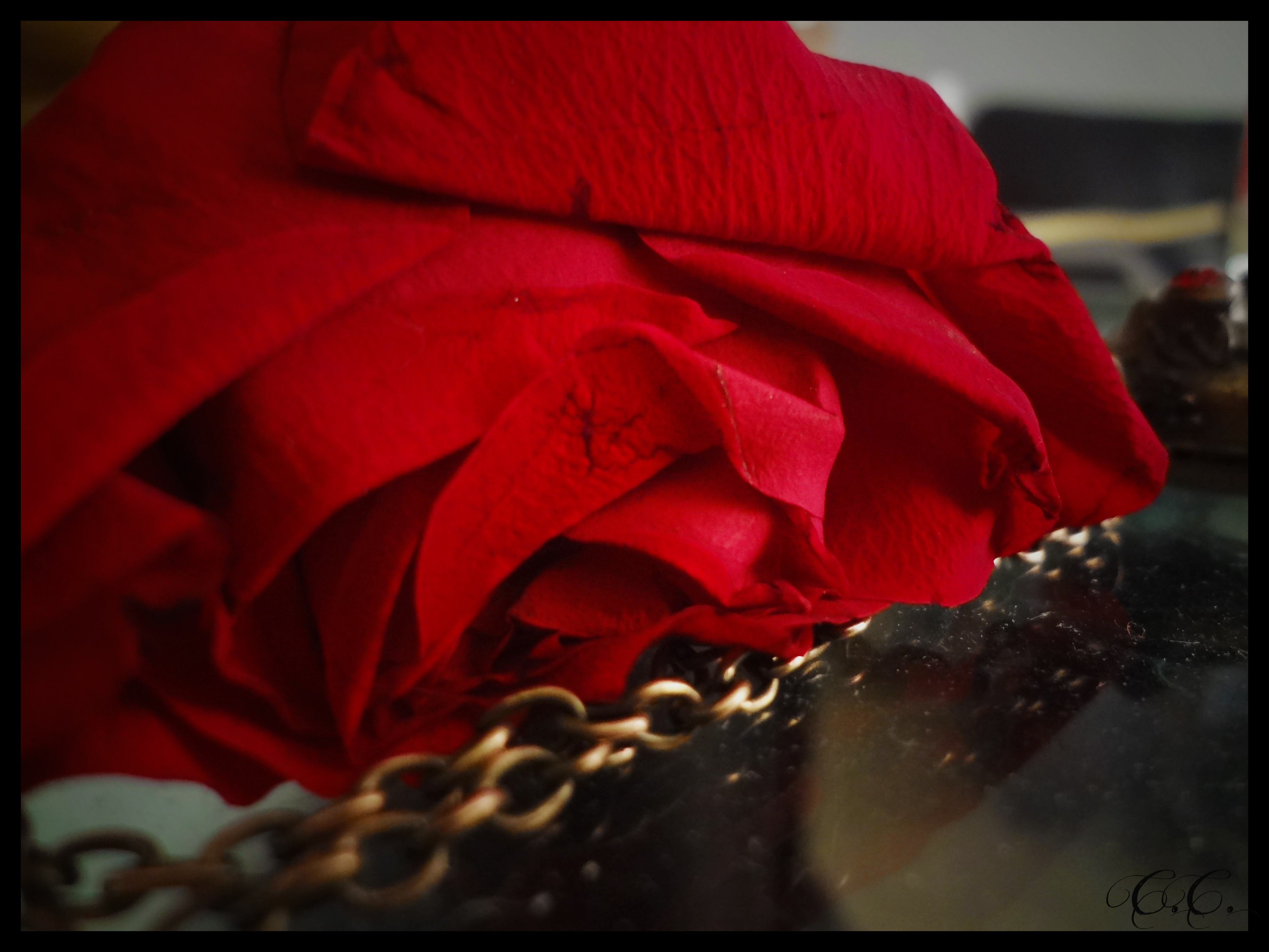 _Rose Chain II