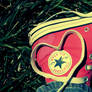 I Love My Converse