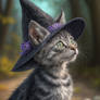 Witchy Kitten