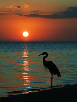 Meditation At Sunset