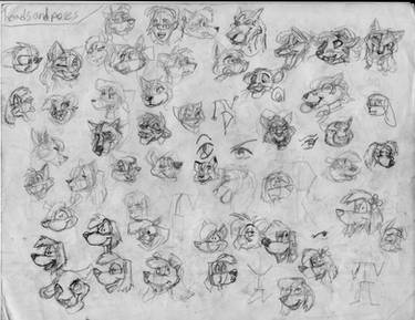 100 heads and poses P18