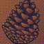 Pine Cone
