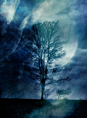 Symphony of Silence by Anj3lla Symphony of Silence by Anj3lla