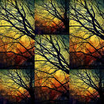 StAiNeD GlAsS by Anj3lla StAiNeD GlAsS by Anj3lla