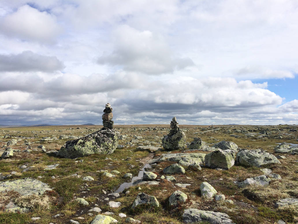 Hardangervidda I