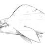 Species: Boneheadfish
